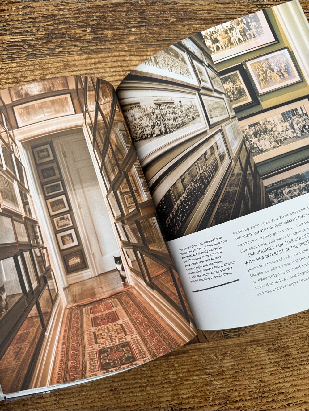 CREATIVE WALLS | Interior Design Book - Picture 7 of 15
